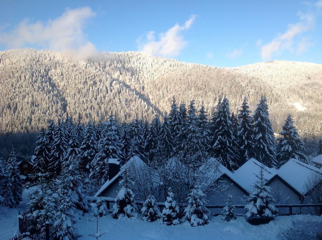 Villa Alpiyka Slavske Luaran gambar