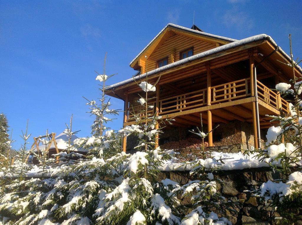 Villa Alpiyka Slavske Luaran gambar