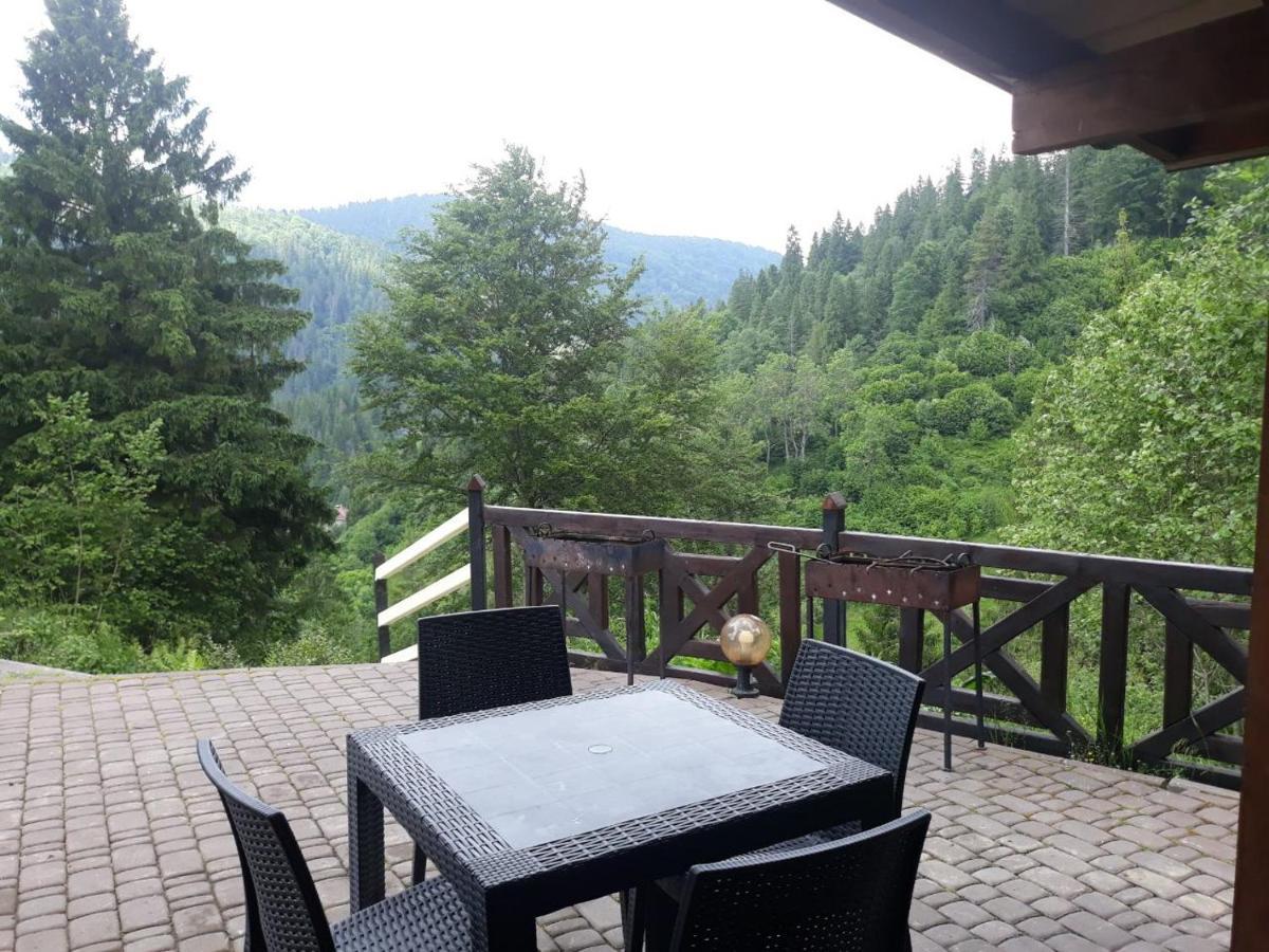 Villa Alpiyka Slavske Luaran gambar